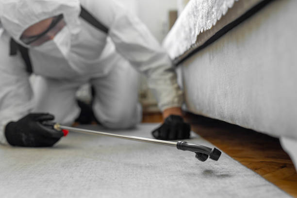 Professional Mosquito Control technician working in Ranchos de Taos, NM