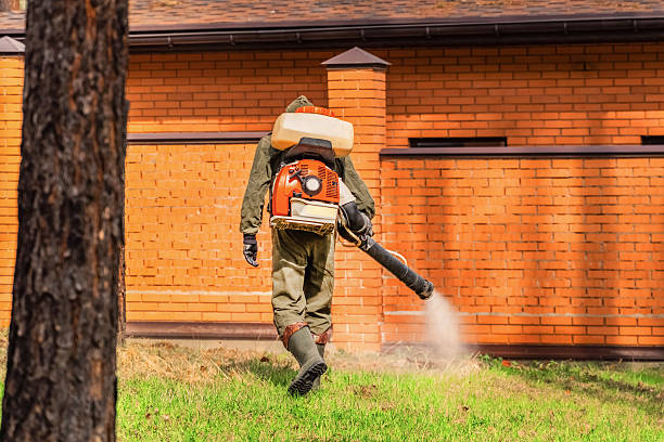 Trusted Termite Control service in Ranchos de Taos, NM - Nex Pest Control